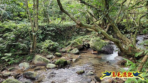 龍洞坑古道苦苓嶺南雅山出海園古道O形 (14).jpg