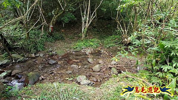 龍洞坑古道苦苓嶺南雅山出海園古道O形 (16).jpg