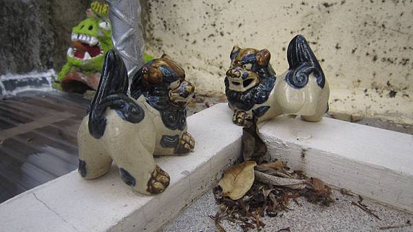 IMG_6853.JPG