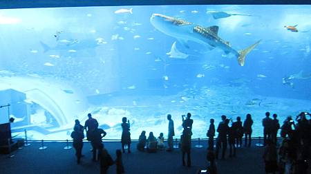 IMG_7041.JPG