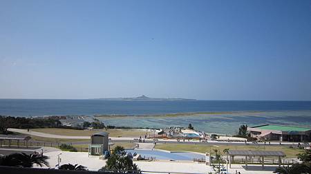 IMG_7084.JPG