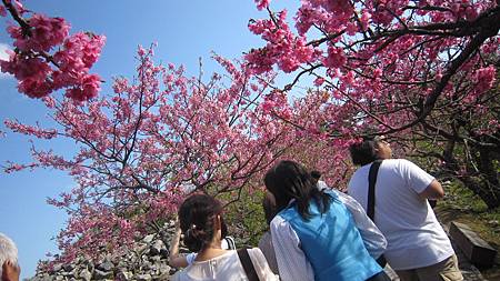 IMG_7097.JPG