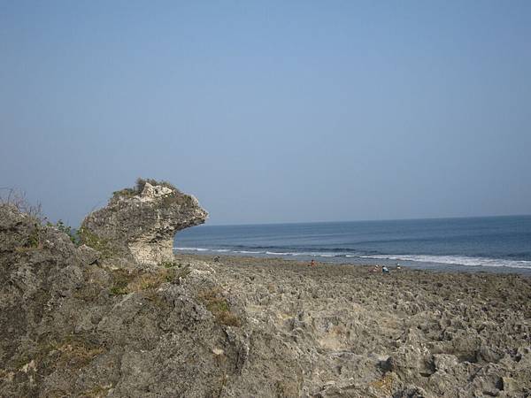 IMG_8466