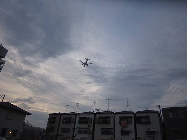 IMG_0505.JPG