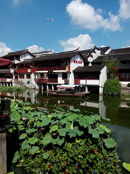 IMAG0242.jpg