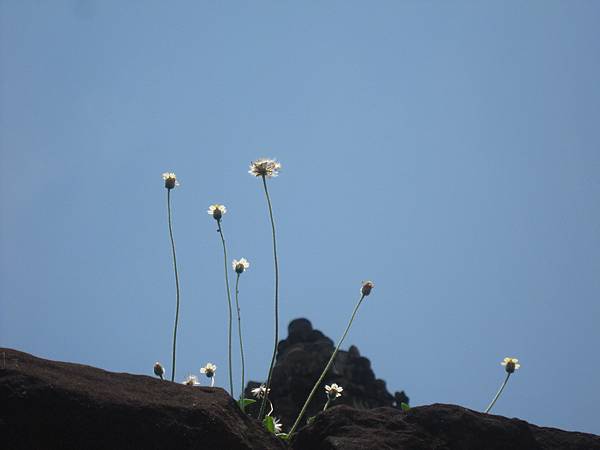 IMG_0770.JPG