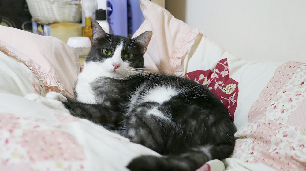 20180503-1.jpg 20180503-1.jpg