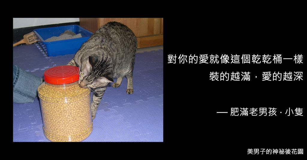 20180721-1.jpg 20180721-1.jpg