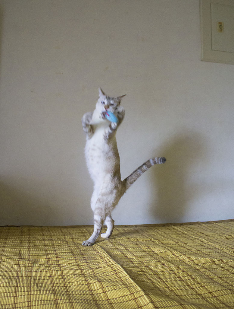 IMG_2985.jpg IMG_2985.jpg