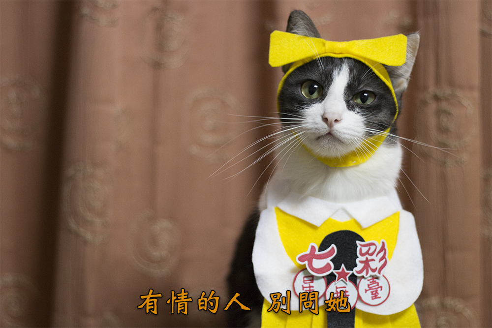 0311-04.jpg 0311-04.jpg