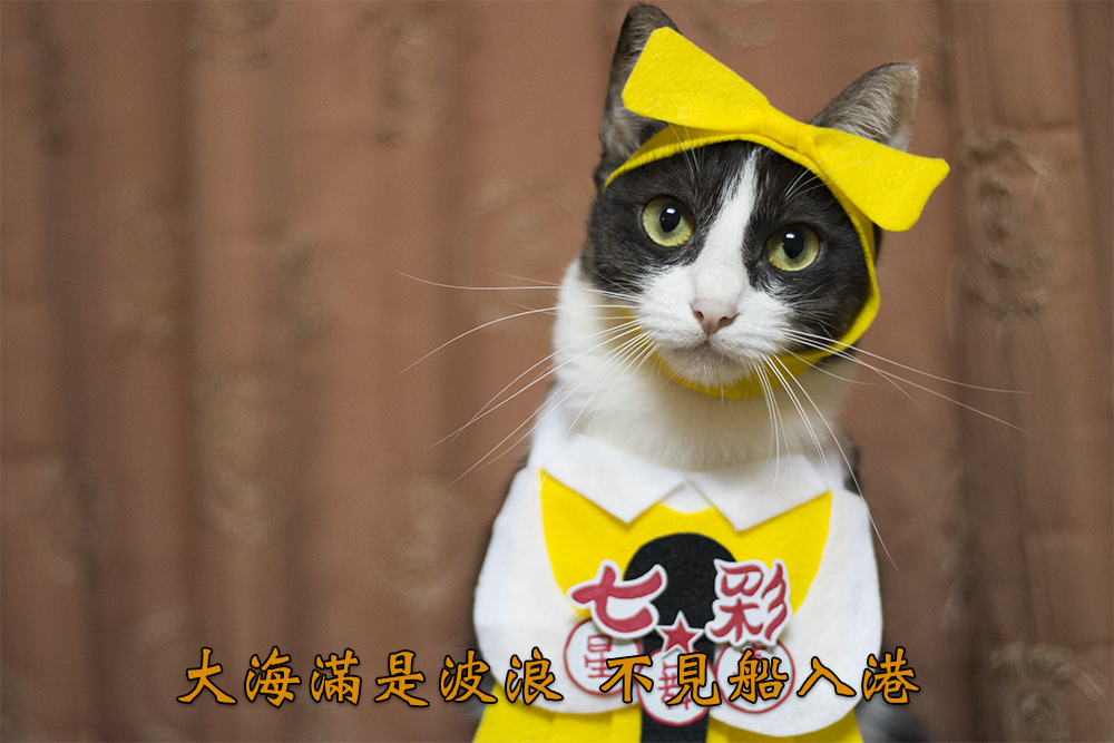 0311-02.jpg 0311-02.jpg