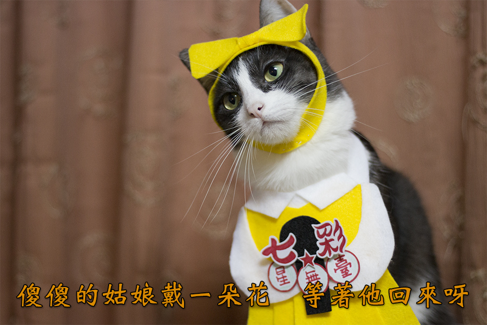 0311-03.jpg 0311-03.jpg