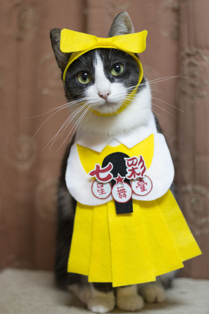 0311-01.jpg 0311-01.jpg