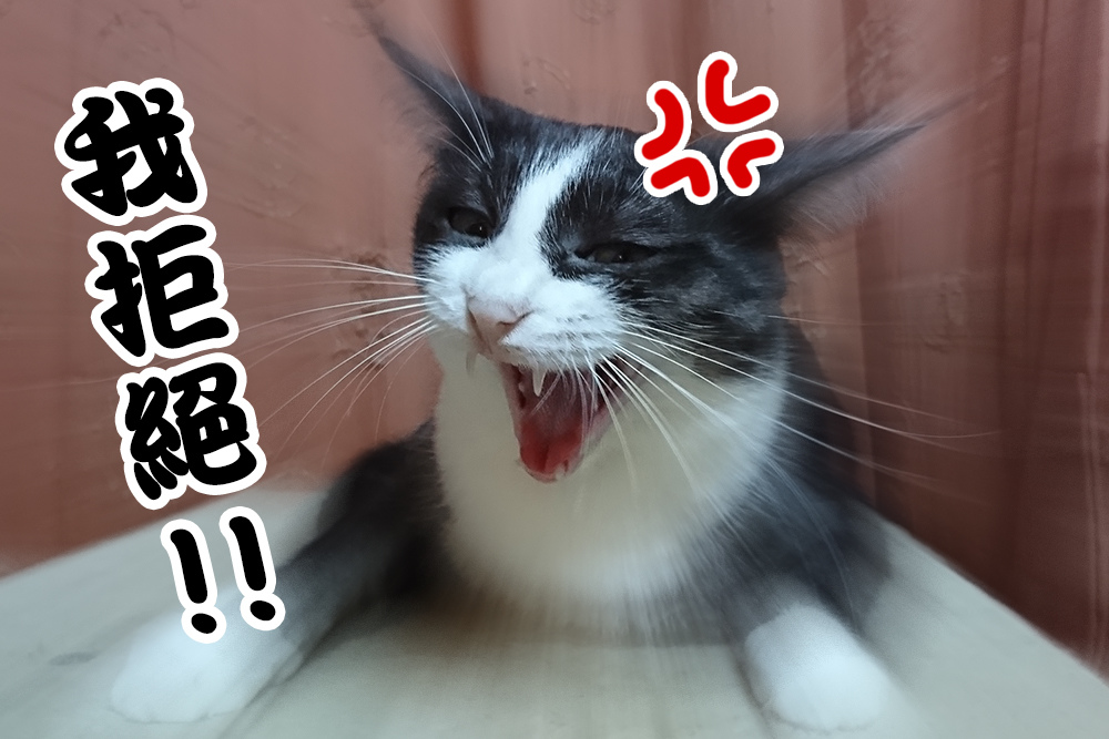 0311-09.JPG 0311-09.JPG