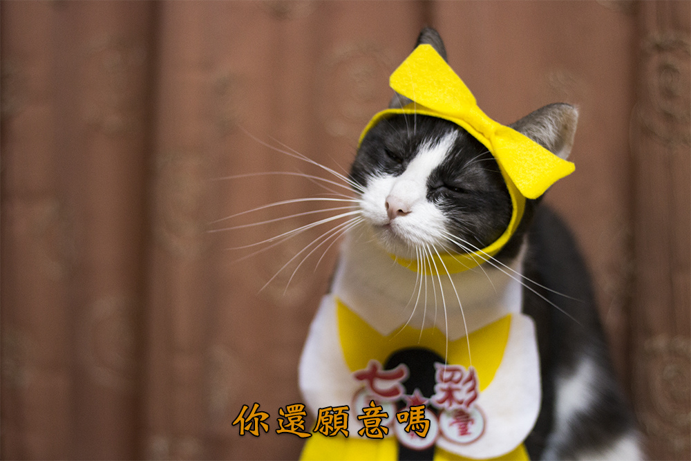 0311-05.jpg 0311-05.jpg