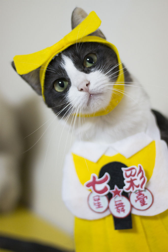 0311-08.jpg 0311-08.jpg