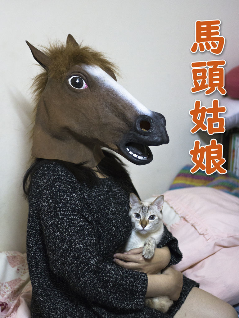 0311-10.jpg 0311-10.jpg