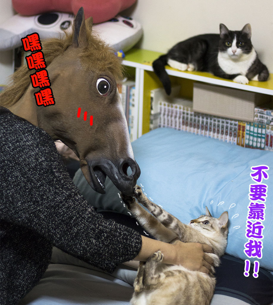 0311-11.jpg 0311-11.jpg