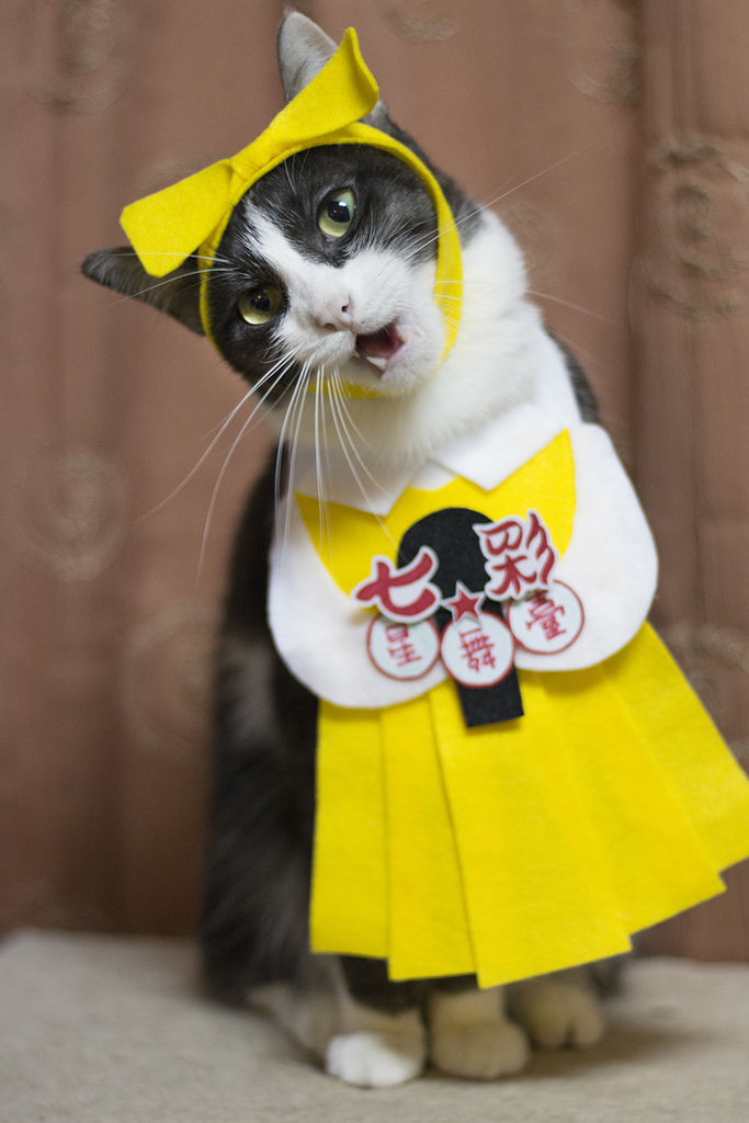 0311-06.jpg 0311-06.jpg