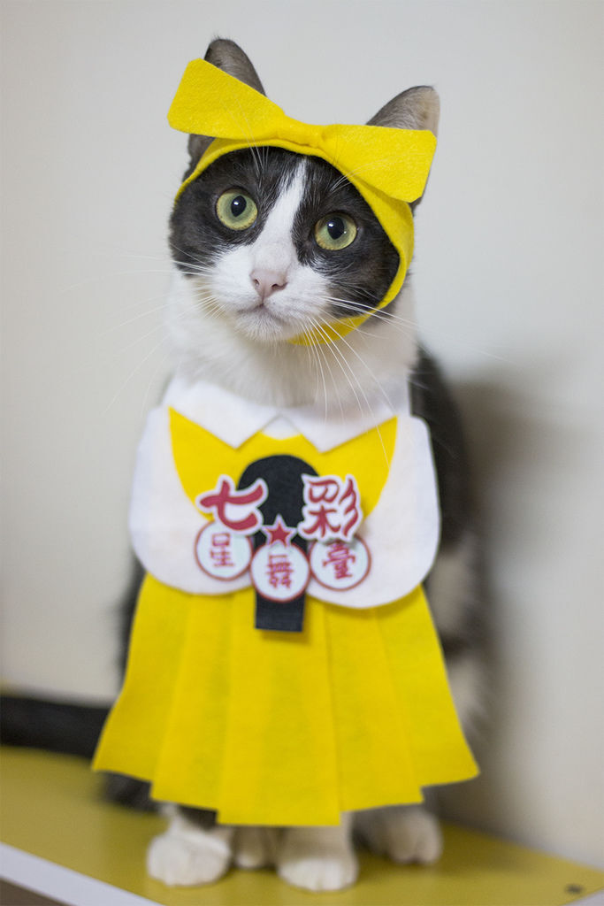 0311-07.jpg 0311-07.jpg