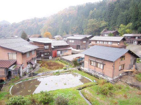 101年11月日本旅遊 (159)