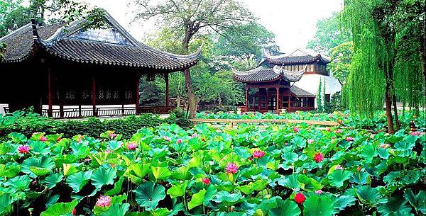 85aa0c000578a01e90.water.jpg_710x360_4621c512.jpg 85aa0c000578a01e90.water.jpg_710x360_4621c512.jpg