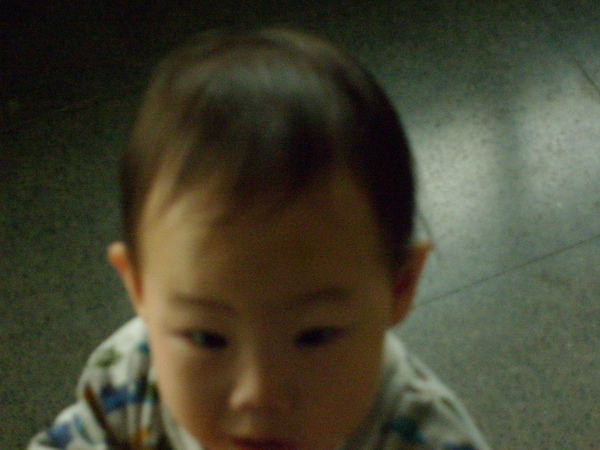 S6303603.JPG