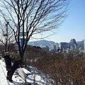 20120125_114056.jpg