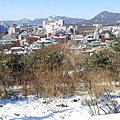 20120125_114118.jpg