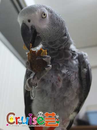 DSCF1114 DSCF1114
