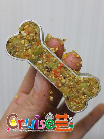 DSCF9605 DSCF9605