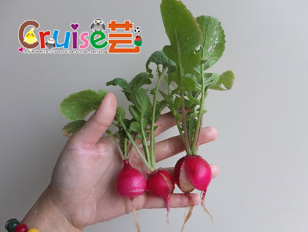 150223-(16).jpg 150223-(16).jpg