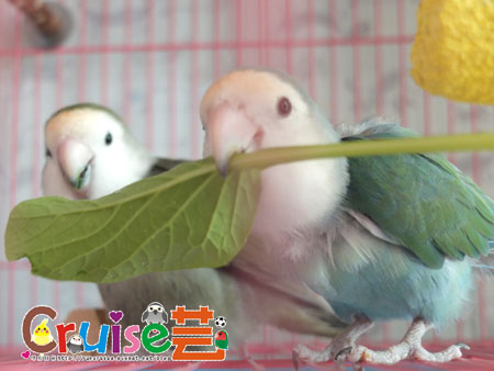 DSCF4013 DSCF4013