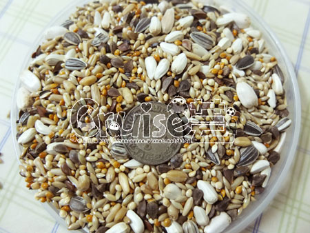 台灣製造_台產鳥飼料&鸚鵡飼料及營養補充品