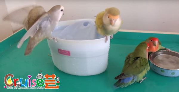 未命名--1.jpg 未命名--1.jpg