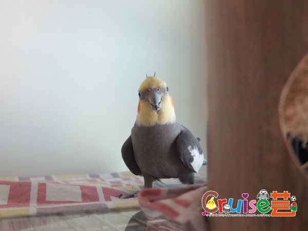 170610-喬-(3).jpg 170610-喬-(3).jpg