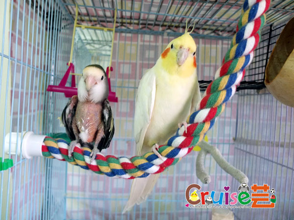 吉么-(7).jpg 吉么-(7).jpg