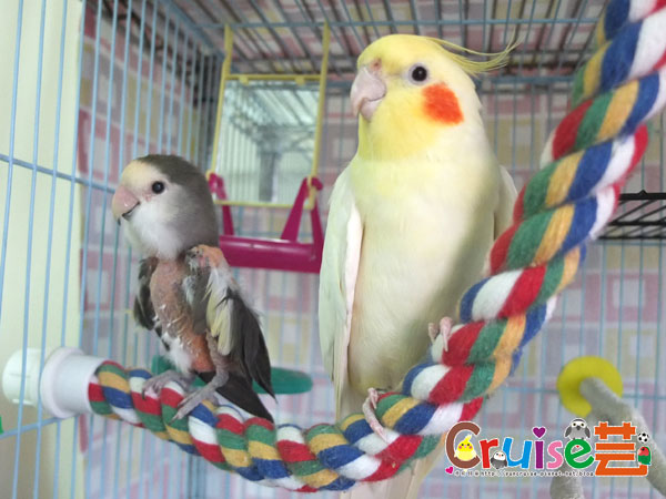 吉么-(9).jpg 吉么-(9).jpg