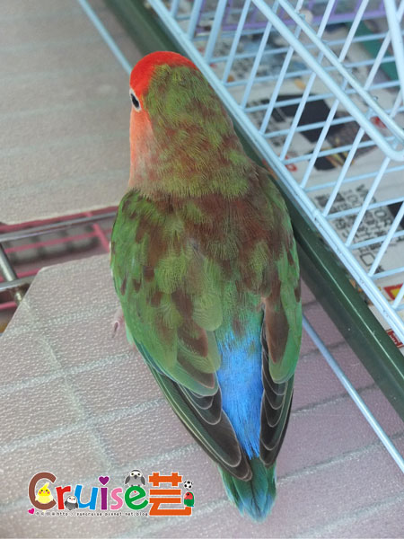 核-(7).jpg 核-(7).jpg