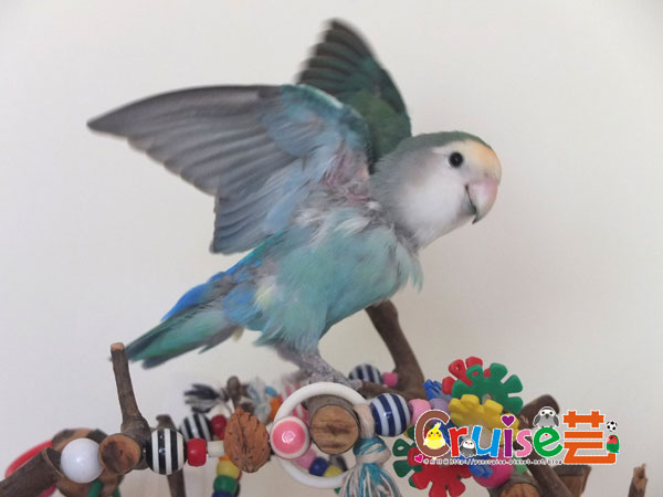 青-(5).jpg 青-(5).jpg