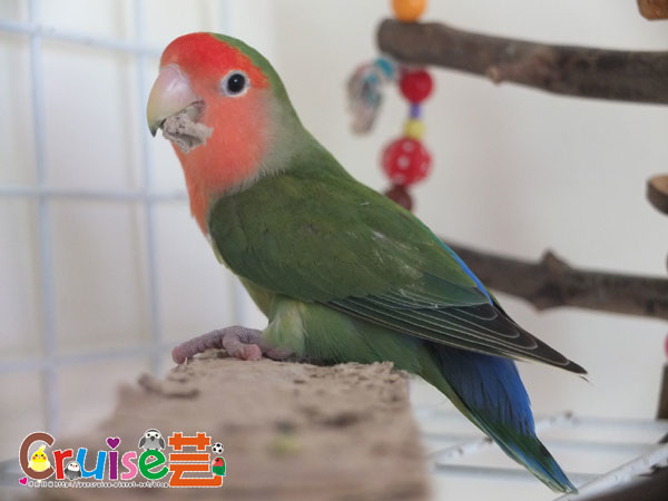 薄-(1).jpg 薄-(1).jpg