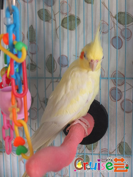 瘦-(3).jpg 瘦-(3).jpg