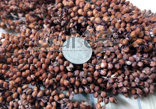 台灣製造_台產鳥飼料&鸚鵡飼料及營養補充品