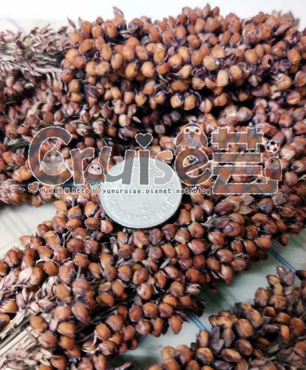 台灣製造_台產鳥飼料&鸚鵡飼料及營養補充品