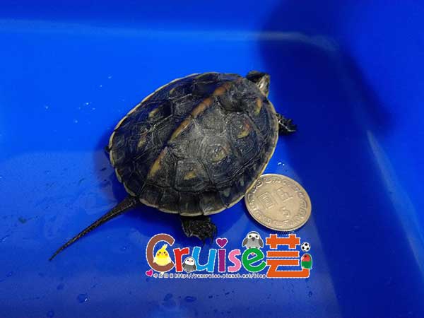 181128-(18) 181128-(18)