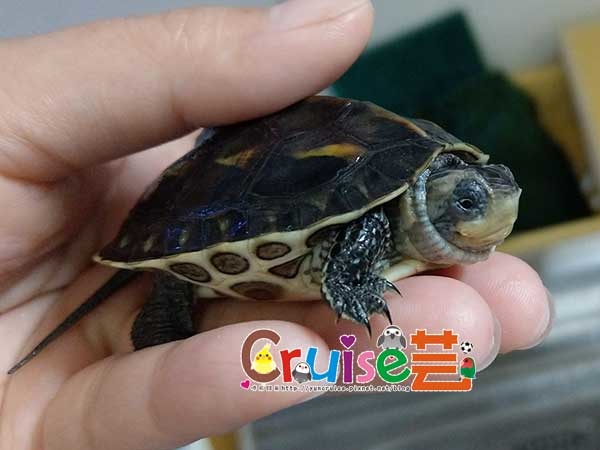 181128-(9) 181128-(9)