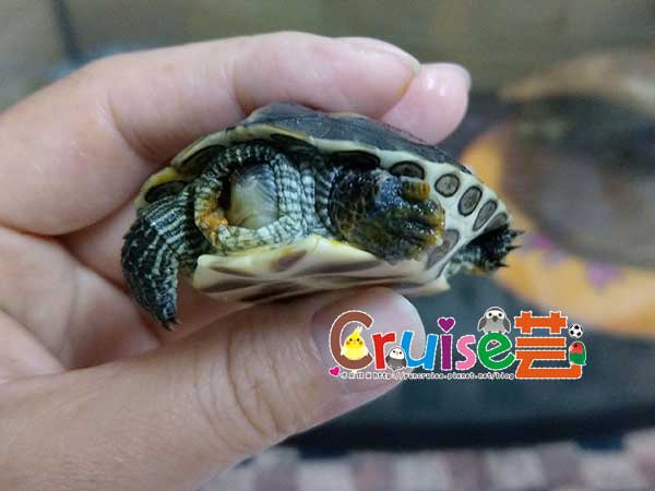 181128-(15) 181128-(15)