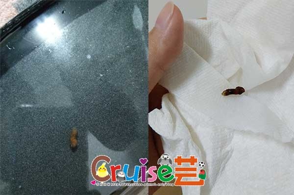 181129-丸圭大便-(3) 181129-丸圭大便-(3)