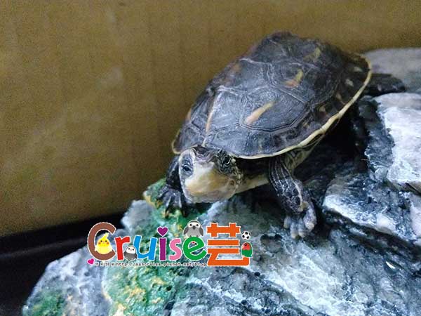 181129-(17) 181129-(17)