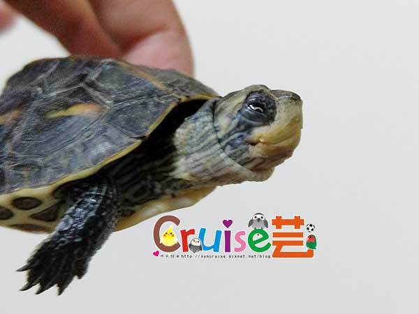 181129-(11) 181129-(11)